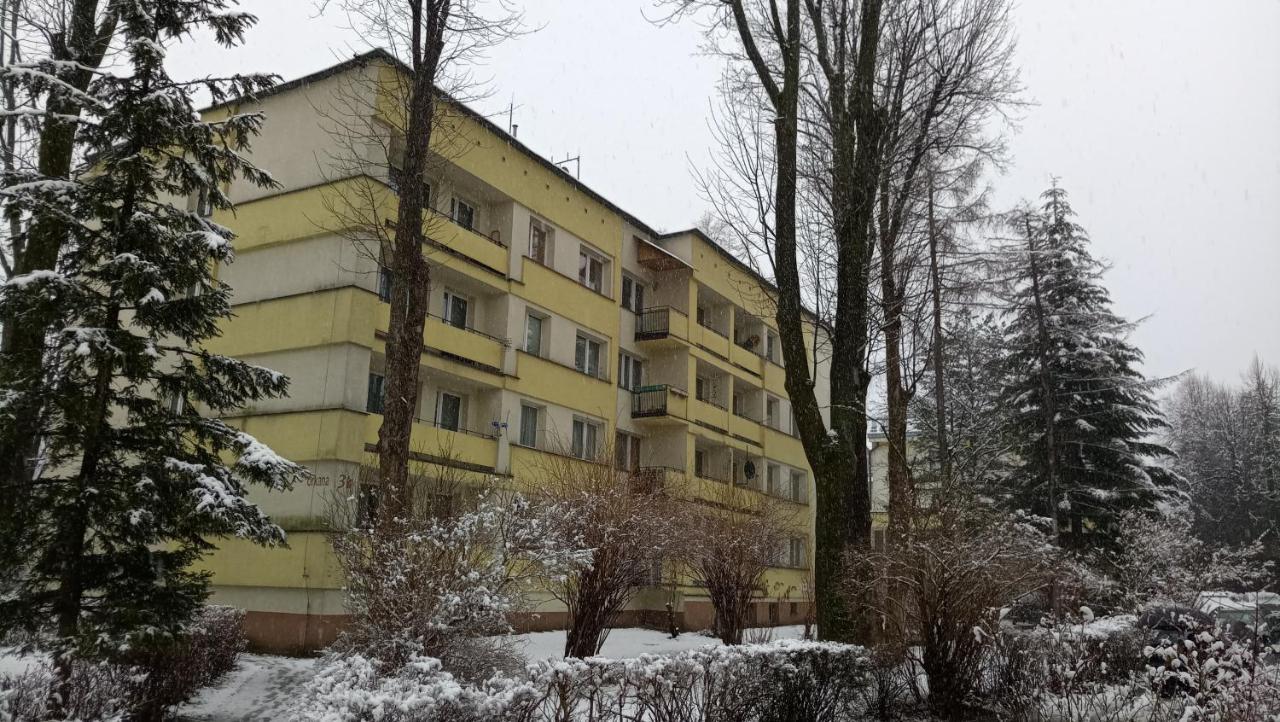 Apartament Alicja, Scisle Centrum, Orkana 3 Zakopane Exterior foto